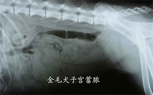 影像(3).jpg 影像(3).jpg