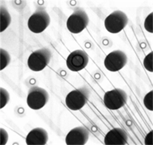 X-RAY在线检测 X-RAY在线检测