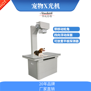 宠物dr04_副本.jpg