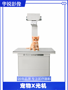 宠物dr03.jpg 宠物dr03.jpg