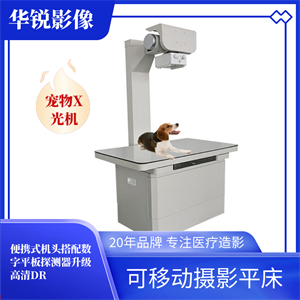 宠物dr06.jpg 宠物dr06.jpg