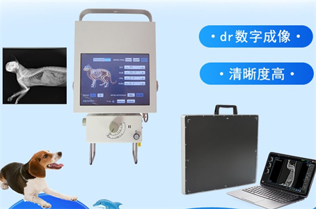 宠物X光机11.jpg 宠物X光机11.jpg
