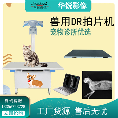 宠物医院如何培训技术人员操作宠物X光机功能?-1