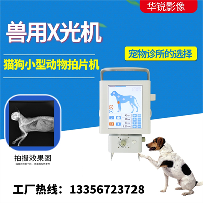 宠物医院采购宠物X光机:功能与操作培训支持-2