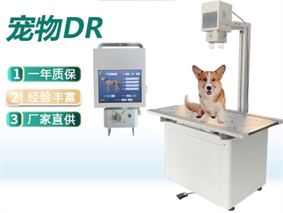 宠物DR智能化曝光控制优化影像质量与辐射剂量-1