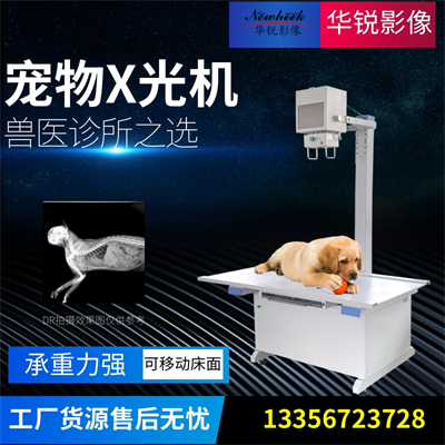 宠物DR多模式成像适应不同检查需求-1