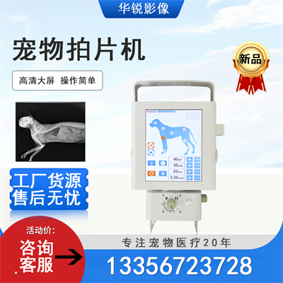 宠物DR在宠物骨折诊断中的准确
评估与治疗方案制定-1
