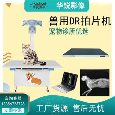宠物DR多能量成像助力肿瘤边界准确
识别与治疗方案制定-1