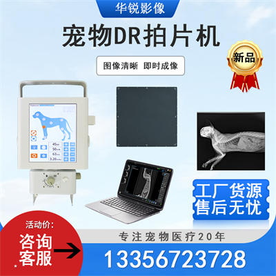 宠物DR在宠物心脏介入治疗中的准确
导航与操作技术革新-1
