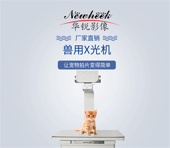 宠物drX光机01_副本.jpg 宠物drX光机01_副本.jpg