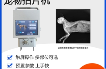 宠物DR在宠物急诊科中的高效诊断与快速响应机制建设