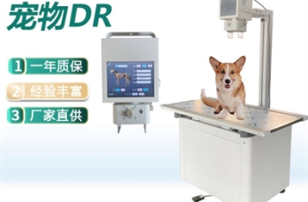 宠物DR品牌哪个比较好？选择宠物DR注意哪些组成部件？  