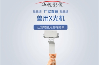 兽用DR系统全指南：2025年数字化动物诊疗技术解析与应用案例