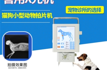 宠物DR智能化操作提升诊断效率