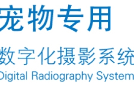 宠物DR拍摄流程详解：从设备准备到图像诊断的全方位指南