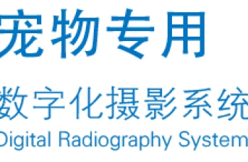 宠物DR拍摄流程详解：从设备准备到图像诊断的全方位指南