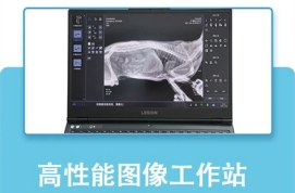 为什么要用宠物DR为宠物检查？
