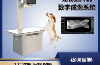 宠物DR在宠物心脏介入手术中的准确
导航
