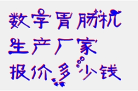 数字胃肠机生产厂家报价多少钱？