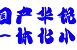 一体化小C有哪款型号？