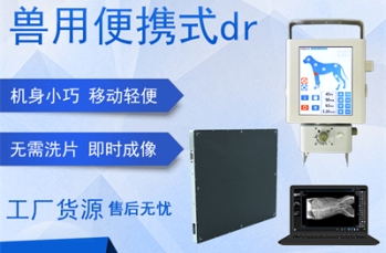 宠物DR在宠物心脏介入手术中的准确
定位与导航