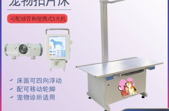宠物DR在宠物肿瘤治疗中的效果跟踪与评估体系