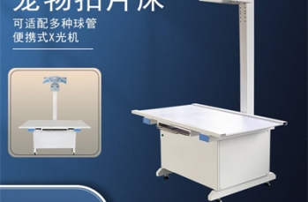 宠物DR在远程宠物医疗中的新应用