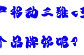 国产移动三维c型臂哪个品牌好呢？