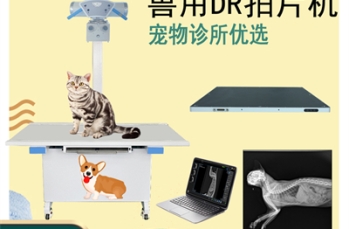 宠物医院如何培训技术人员操作宠物X光机功能？