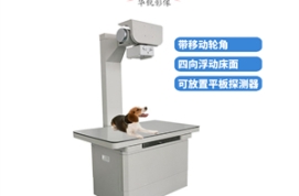 宠物dr价格贵吗？宠物dr优势表现在哪里