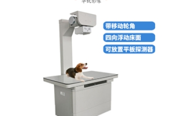 宠物dr价格贵吗？宠物dr优势表现在哪里