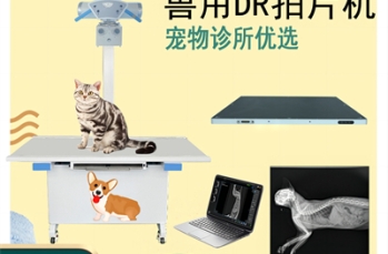 宠物DR多能量成像助力肿瘤边界准确
识别与治疗方案制定